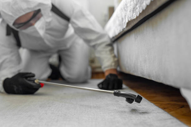 Professional Pest Control technician working in Wilson County County, KS